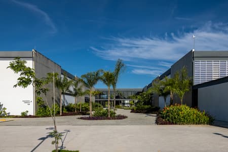 Museu do pontal
